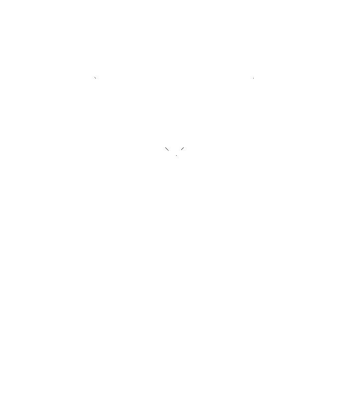The Amber Rose Tea Company